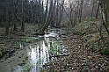 Rostoczek 11.2008 441